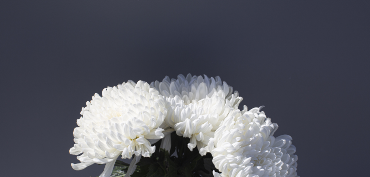 구성 요소 22 – 1